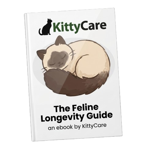 Feline Longevity Guide