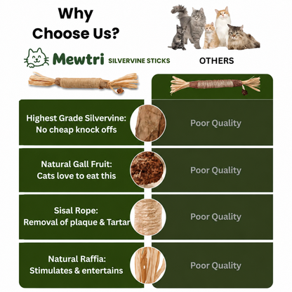 Natural Silvervine Dental Chew Sticks