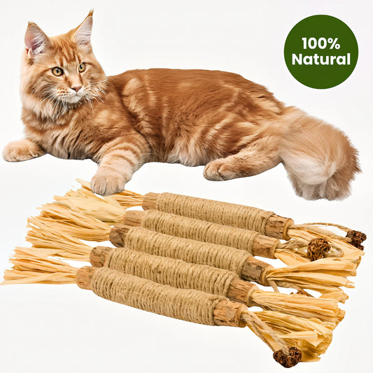 Natural Silvervine Dental Chew Sticks