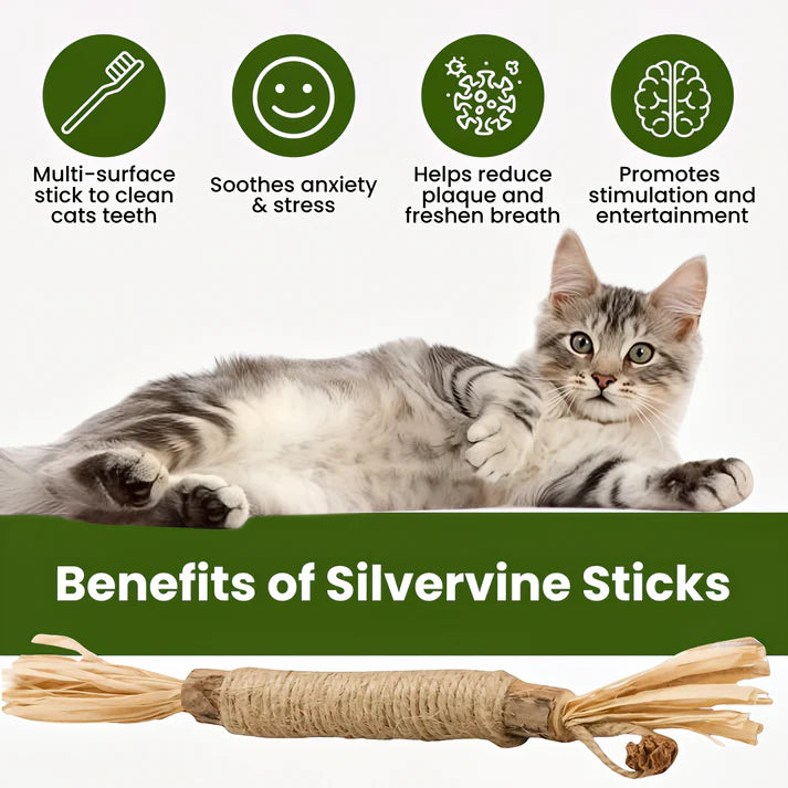 Natural Silvervine Dental Chew Sticks