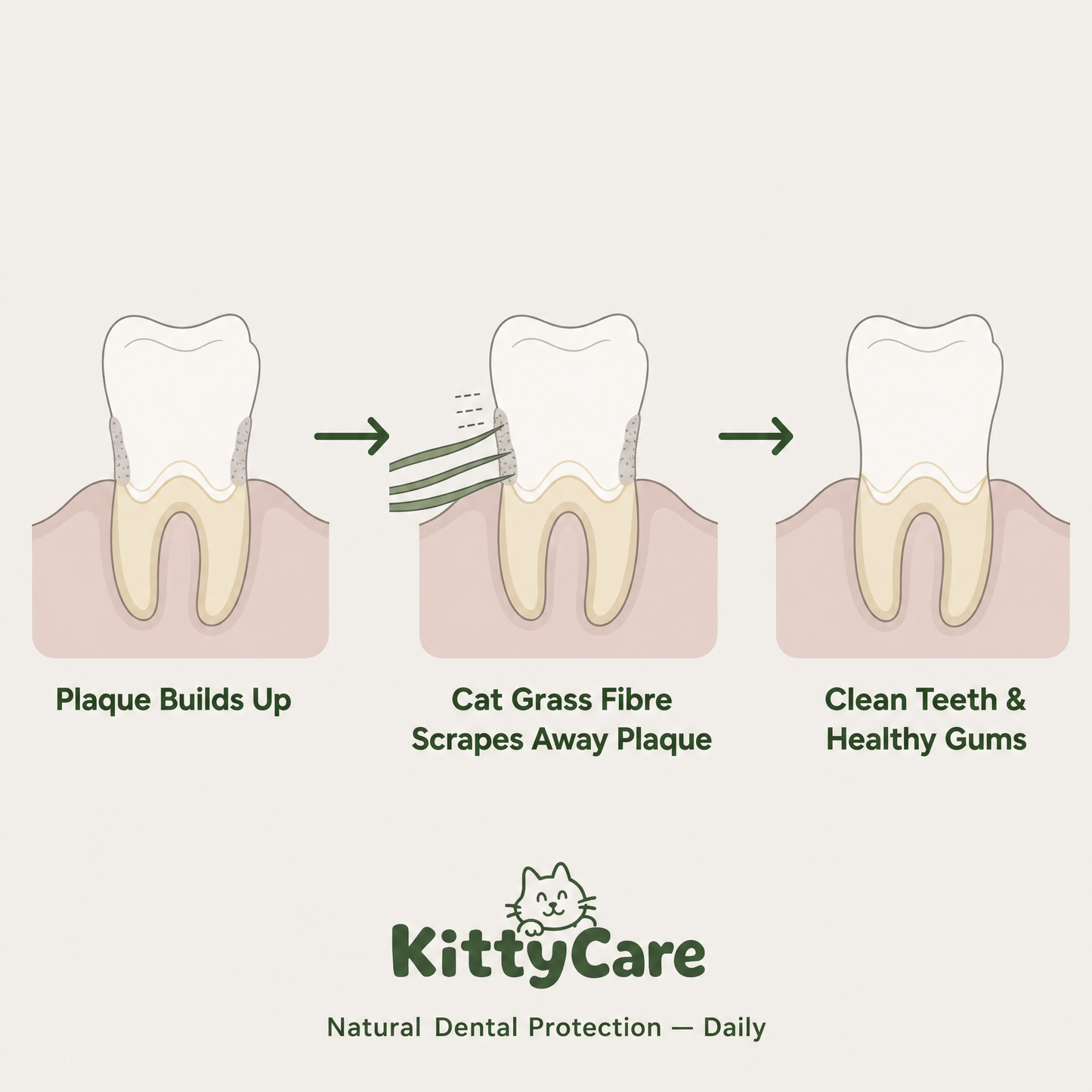 Dental Defense Longevity Bundle