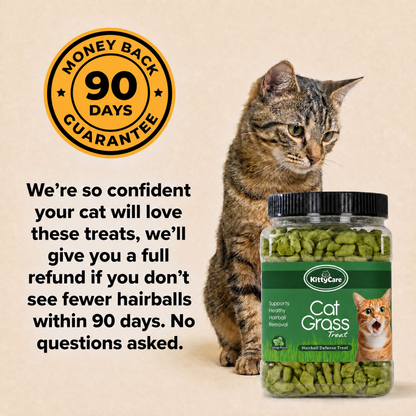 Hairball Defense | Feline Treats